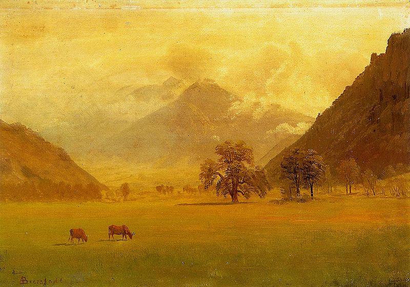 Albert Bierstadt Rhone Valley Germany oil painting art
